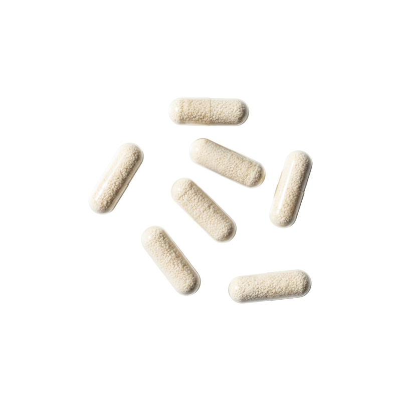 Probiotiques / Postbiotiques